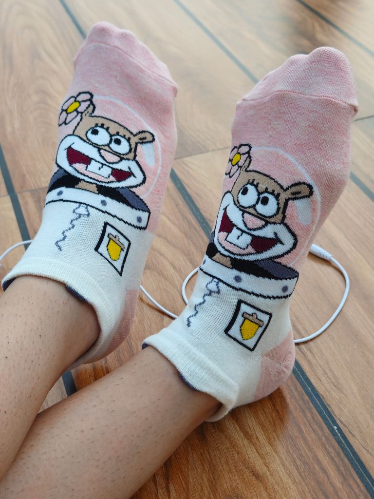Sandy Cheeks socks
